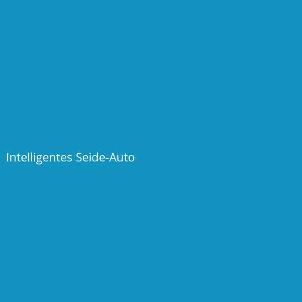 Intelligentes Seide-Auto